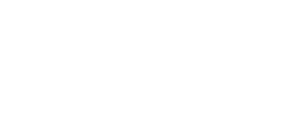 Global Fast Logistics